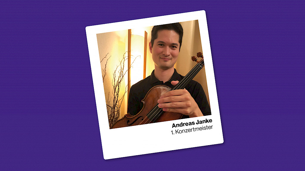 Rauschzustand im Haifischbecken